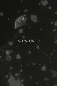 S/T/N/T/N/G