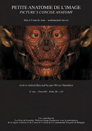 Petite anatomie de l'image