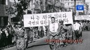 Episode 269