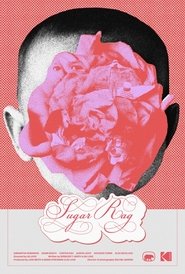 Poster Sugar Rag