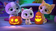 Howloween Cat