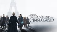 Les animaux fantastiques: Les crimes de Grindelwald