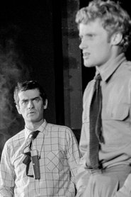 Poster Scenes From The Director's Life 1970