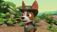 Pups Save a Humdinger Doll