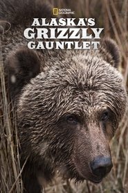 Alaska's Grizzly Gauntlet (2018)