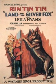 Poster Land of the Silver Fox 1928