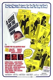 A Guide for the Married Man (1967)