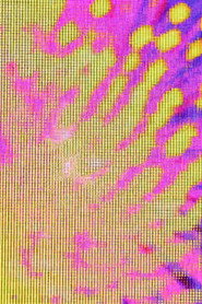 Poster for Grids