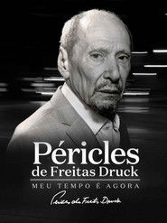 Péricles de Freitas Druck - Meu Tempo é Agora
