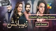 Poster Zebaish - Season 1 Episode 12 : Episode 12 2020