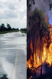 Patient Klima (2008)