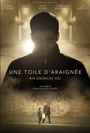 Une toile d’araignée