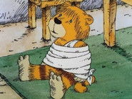 Wolkenzimmerhaus / Ich mach' dich gesund, sagte der Bär still