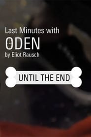 Last Minutes with ODEN постер