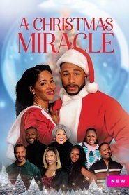 A Christmas Miracle (2024) A Christmas Miracle (2024)