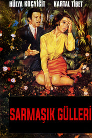 Poster Sarmaşık Gülleri