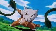 Pokémon 1x75