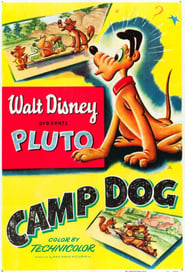 Poster Camp Dog 1950