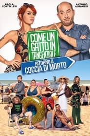 Come un gatto in tangenziale – Ritorno a Coccia di Morto (2020) Cliver HD - Legal - ver Online & Descargar