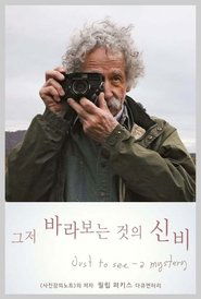Poster Just To See - A Mystery 2016