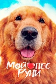 Мой пёс Руни 2023 Бесплатный неограниченный доступ