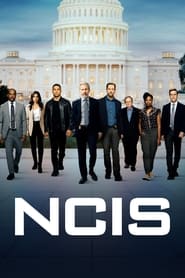 Poster NCIS - Season 8 Episode 4 : Royals and Loyals 2023