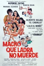 Poster Macho que ladra no muerde