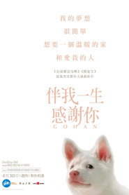心犬相随