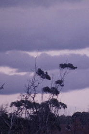 Poster Winter Last July 1983