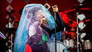 Little Dragon