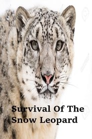 Survival Of The Snow Leopard poszter
