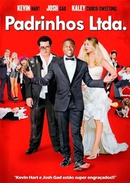Padrinhos LTDA Dublado e Legendado 1080p
