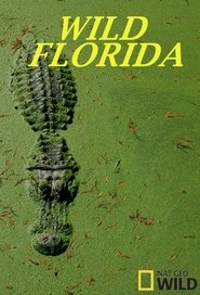 Wild Florida 2013