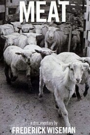 Meat 1976 Free Unlimited Access