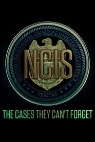 Full Cast of NCIS: The Cases They Can't Forget