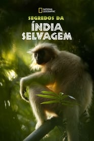 Segredos da Índia Selvagem — Temporada 1
