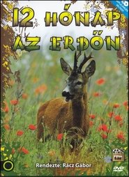 Poster 12 hónap az erdőn - Season 1 Episode 4 : April 1988