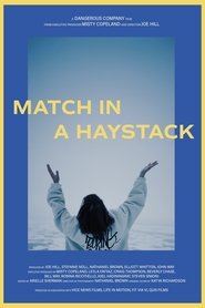 Poster Match In A Haystack 