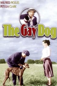 Poster The Gay Dog 1954