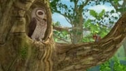 The Tale of the Grumpy Owl