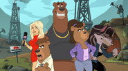 Breaking Bear
