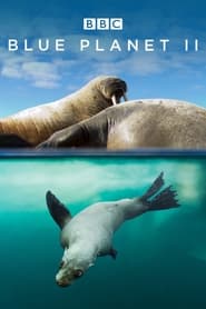 Blue Planet II poster
