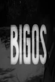 Poster Bigos