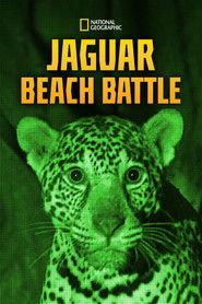 Jaguar Beach Battle (2018)