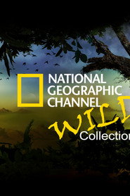 National Geographic Channel: Wild
