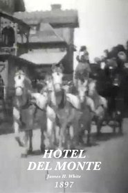 Poster Hotel Del Monte 1897