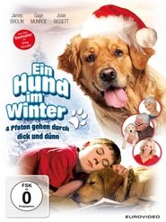 Poster Ein Hund im Winter