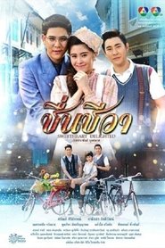 Sweetheart Delighted (2016)