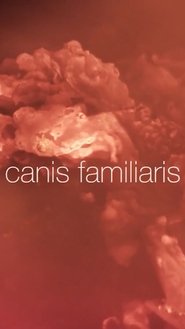 Poster Canis familiaris 2017