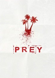 Prey Prey